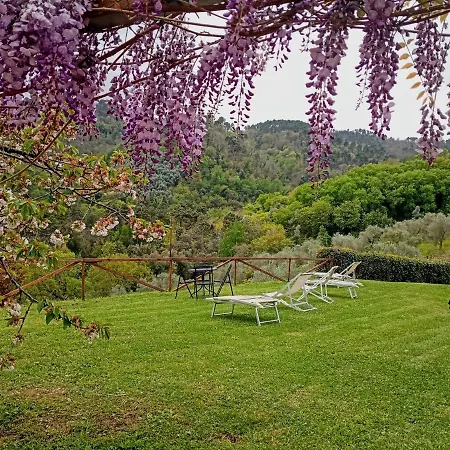 Il Silenzio Apartman Lucca