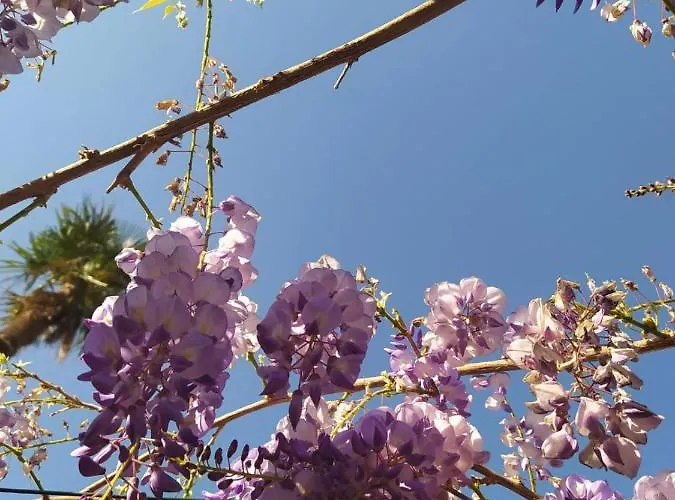 Διαμέρισμα Il Silenzio Λούκα