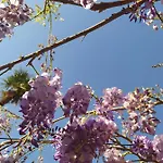 Lägenhet Il Silenzio Lucca
