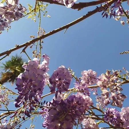 Appartement Il Silenzio Lucques